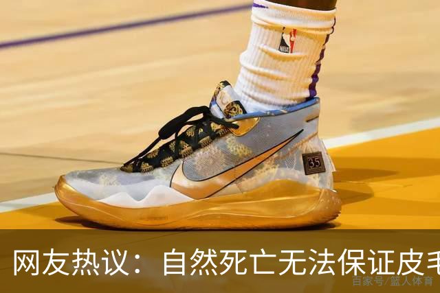 网友热议：自然死亡无法保证皮毛完整，哈兰德的浣熊标本引发很大争议