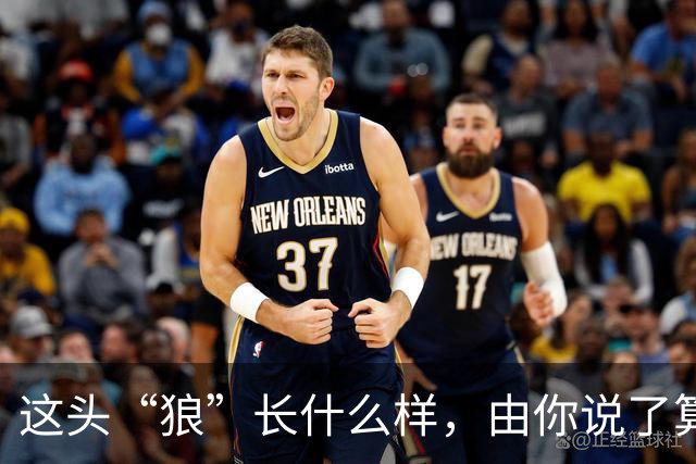 这头“狼”长什么样，由你说了算！璧山狼队吉祥物全城征集